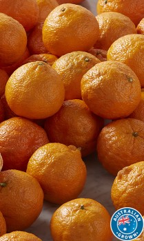 Australian-Gold-Nugget-Mandarins on sale
