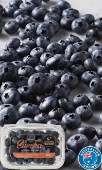 Australian-Eureka-Blueberries-200g-Punnet on sale