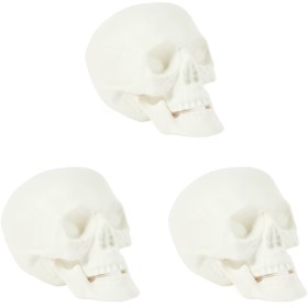 3-Piece-Bag-of-Skulls on sale