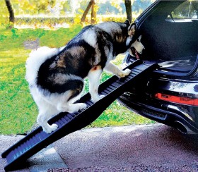 Pet-Ramp-Heavy-Duty on sale