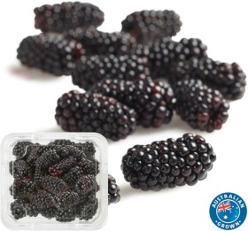 Australian+Blackberries+125g+Punnet