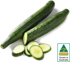 Australian+Continental+Cucumber