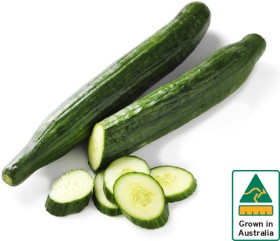 Australian+Continental+Cucumber