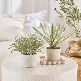 Artificial-Eddie-Potted-Plant-by-MUSE on sale