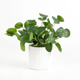 Artificial+Elly+Potted+Baily+Succulent+by+M.U.S.E.