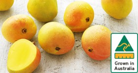 Australian-Kensington-Pride-Mangoes on sale