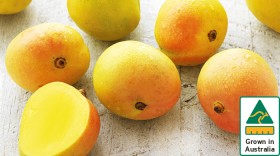 Australian-Kensington-Pride-Mangoes on sale