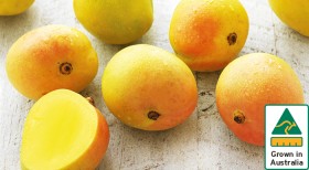 Australian-Kensington-Pride-Mangoes on sale