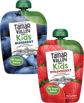 Tamar+Valley+Dairy+Kids+Greek+Style+Yoghurt+Pouch+110g