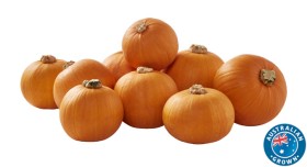 Australian+Mini+Jack+Pumpkin