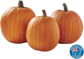 Australian+Jack+O+Lantern+Pumpkin