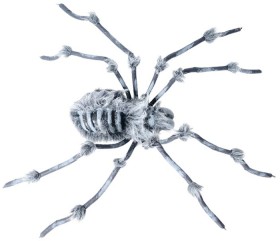 NEW-Skeleton-Spider-Hairy-1m-Ea on sale