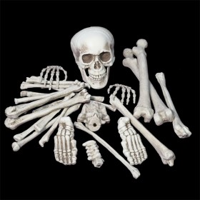 Bag+of+Bones+72cm+Pk+28