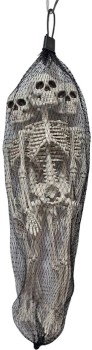 NEW+Bag+of+Skeletons+37cm+Pk+3