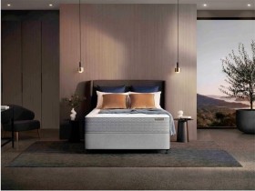 Sealy-Sabah-Flex-Cush-Firm-Mattress on sale