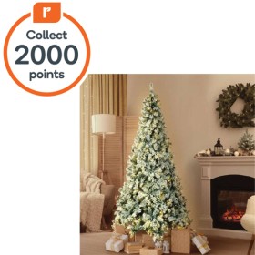 Christmas+Jingle+Jollys+Xmas+Tree