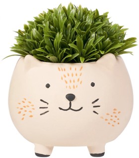 Otto+Topiary+in+Hedgehog+Planter