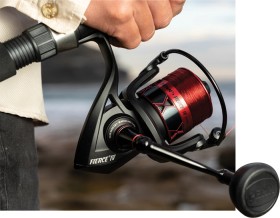 Penn-Fierce-IV-Spin-Reel on sale