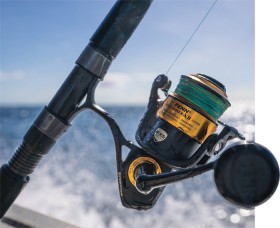 Penn-Spinfisher-VII-Spin-Reels on sale