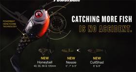 15-off-Regular-Price-on-Berkley-PowerBait-Honeyball-Nessie-Cullshad on sale