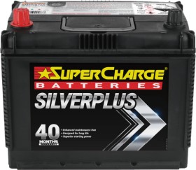 Supercharge-Silver-Plus-Batteries on sale