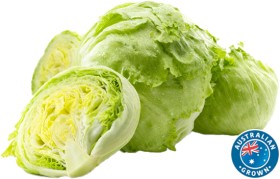 Australian+Iceberg+Lettuce
