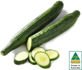 Australian+Continental+Cucumber