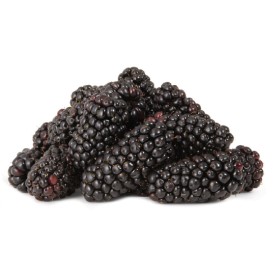 Australian+Blackberries+170g+Punnet