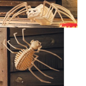 Halloween+Large+Spider