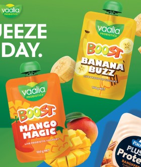 NEW+Vaalia+Boost+Probiotic+Yoghurt+Mango+Magic+or+Banana+Buzz+150g