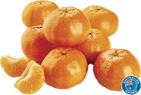 Australian-Afourer-Mandarins on sale