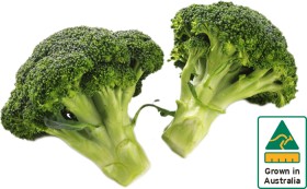 Australian+Broccoli