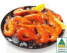 Australian-Extra-Large-Cooked-Tiger-Prawns on sale