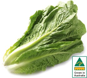 Australian-Cos-Lettuce-Twin-Pack on sale