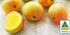 Australian-Mangoes on sale