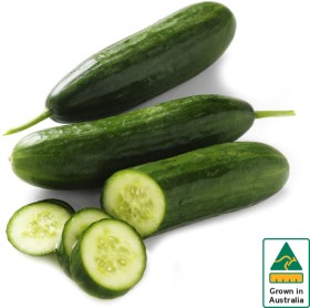 Australian-Lebanese-Cucumber on sale