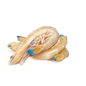 Thawed-Large-Australian-Green-King-Prawns on sale