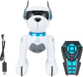 Ziggy-Robo-Dog on sale