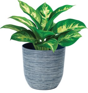 NEW-Rippled-Pot on sale