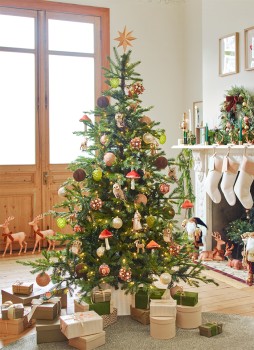 Myer-Giftorium-Harvest-Home-Decorations on sale