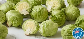 Australian-Iceberg-Lettuce on sale