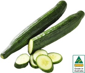 Australian+Continental+Cucumber