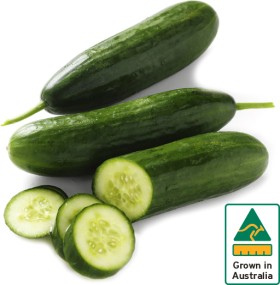 Australian-Lebanese-Cucumber on sale