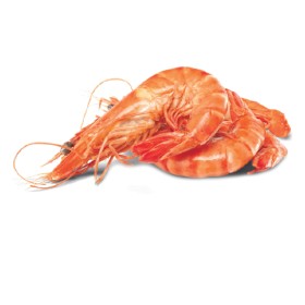 Thawed+Extra+Large+Cooked+Australian+Tiger+Prawns