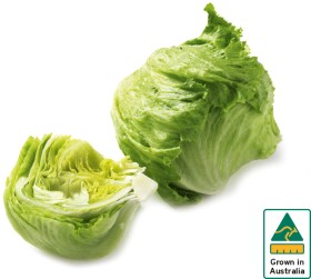 Australian+Iceberg+Lettuce