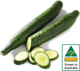 Australian-Continental-Cucumber on sale