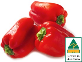 Australian-Red-Capsicum on sale