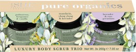 She-Pure-Organics-Body-Scrub-Trio on sale