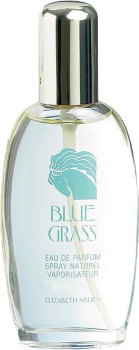 Elizabeth+Arden+Blue+Grass+100mL+EDP
