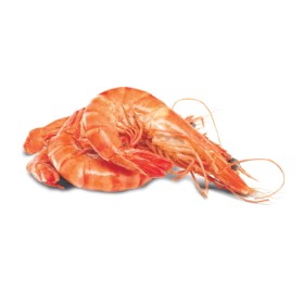Thawed-Large-Australian-Cooked-Tiger-Prawns on sale